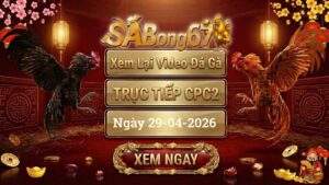 Phát Lại Đá Gà CPC2 Trực Tiếp Ngày 29/04/2026