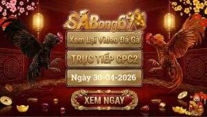 Phát Lại Đá Gà CPC2 Trực Tiếp Ngày 30/04/2026