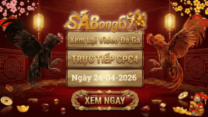 Phát Lại Đá Gà CPC4 Trực Tiếp Ngày 24/04/2026