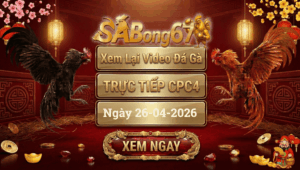 Phát Lại Đá Gà CPC4 Trực Tiếp Ngày 26/04/2026