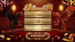 Phát Lại Đá Gà CPC5 Trực Tiếp Ngày 26/04/2026