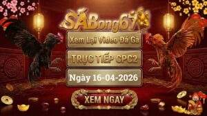 Xem Lại Video Đá Gà CPC2 Trực Tiếp Ngày 16/04/2026