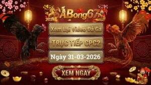 Xem Lại Video Đá Gà CPC2 Trực Tiếp Ngày 31/03/2026