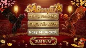 Xem Lại Video Đá Gà CPC3 Trực Tiếp Ngày 14/04/2026