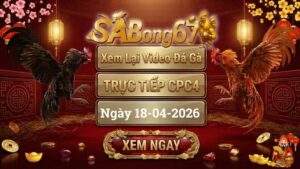Xem Lại Video Đá Gà CPC4 Trực Tiếp Ngày 18/04/2026