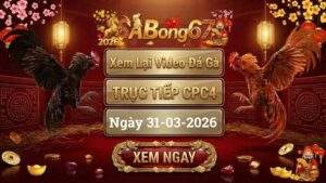 Xem Lại Video Đá Gà CPC4 Trực Tiếp Ngày 31/03/2026