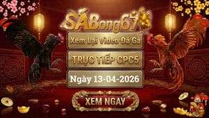 Xem Lại Video Đá Gà CPC5 Trực Tiếp Ngày 13/04/2026