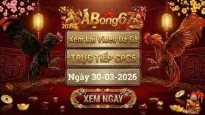 Xem Lại Video Đá Gà CPC5 Trực Tiếp Ngày 30/03/2026