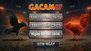 Phát Lại Full Video Đá Gà CPC3 Ngày 02/05/2026