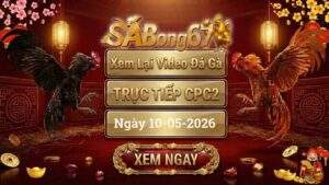 Phát Lại Video Đá Gà CPC2 Ngày 10/05/2026