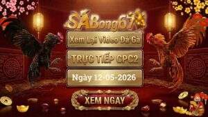 Phát Lại Video Đá Gà CPC2 Ngày 12/05/2026