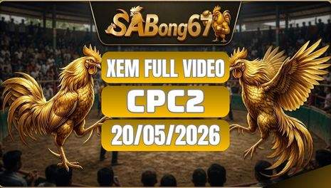 Phát Lại Video Đá Gà CPC2 Ngày 20/05/2026