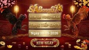 Phát Lại Video Đá Gà CPC3 Ngày 10/05/2026