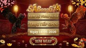 Phát Lại Video Đá Gà CPC5 Ngày 14/05/2026