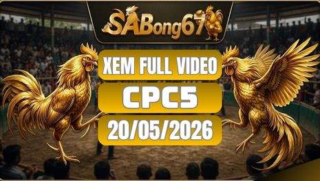 Phát Lại Video Đá Gà CPC5 Ngày 20/05/2026