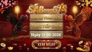 Phát Lại Video Đá Gà CPC4 Ngày 11/05/2026