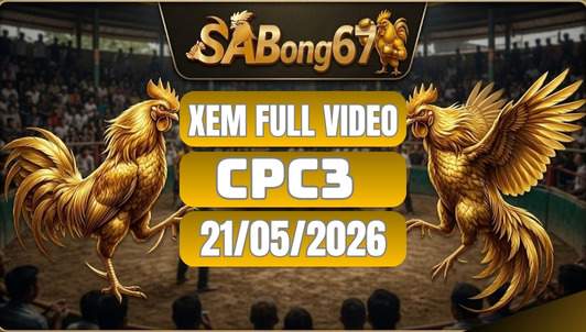 Xem Full video đá gà CPC3 ngày 21/5/2026